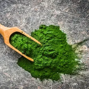 JointVive - VitalGreen Algae - Bright green VitalGreen Algae powder on a dark slate background with wooden spoon, showcasing energy and recovery benefits.